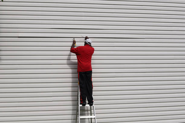 Best Vinyl Siding Installation  in Risg Sun, IN