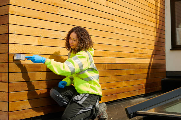 Reliable Rising Sun, IN Siding Solutions