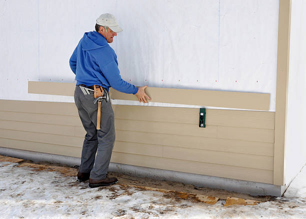 Best Custom Siding Design  in Risg Sun, IN